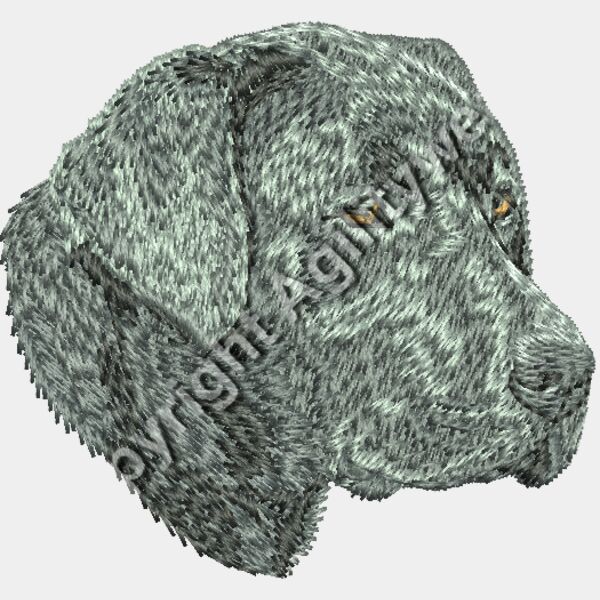 Labrador Rettriever65 Thumbnail