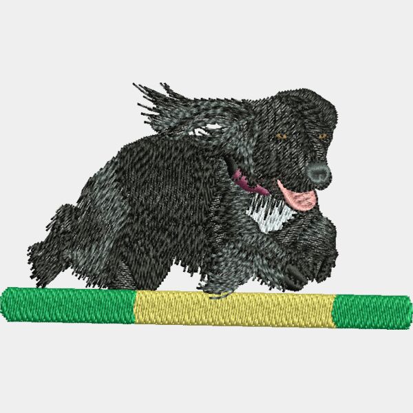 Agility Cocker Thumbnail