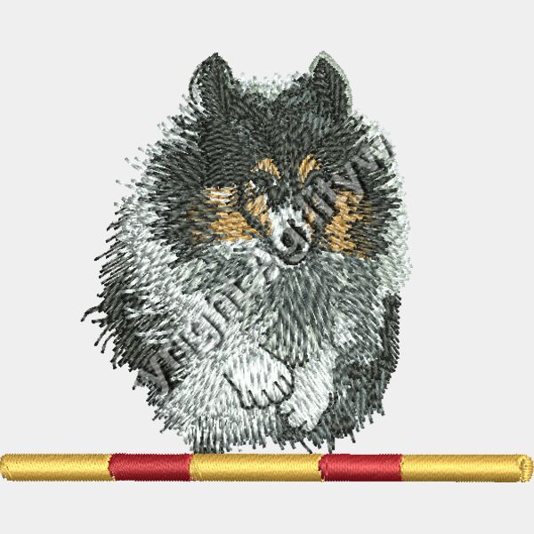 Tri Sheltie Jumping Thumbnail