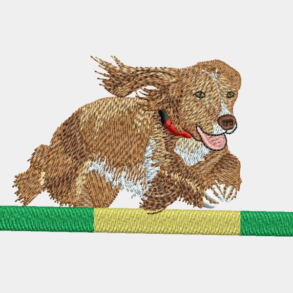 Agility Cocker Thumbnail