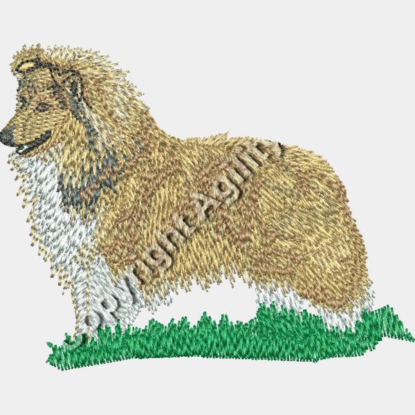 Sable Sheltie Thumbnail