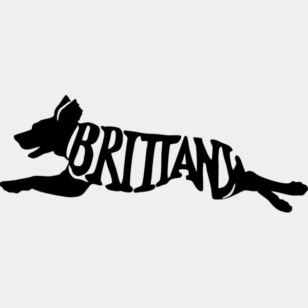 Britanny Agility Thumbnail