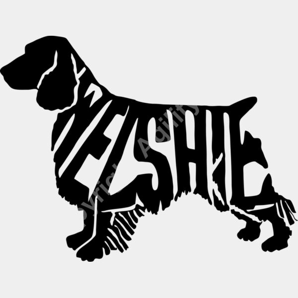 welshspringer Thumbnail