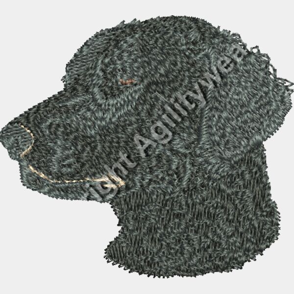 Black Curly Coated Retriever Thumbnail