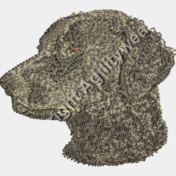 Brown Curly-Coated Retriever Thumbnail