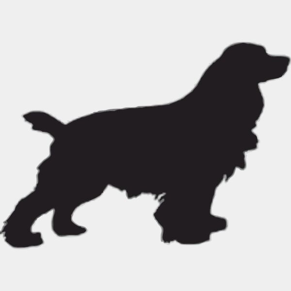 Working cocker Thumbnail