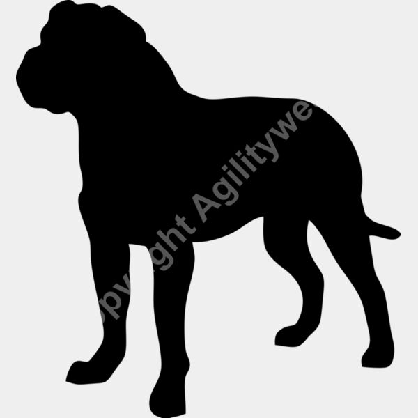 bull-mastiff Thumbnail