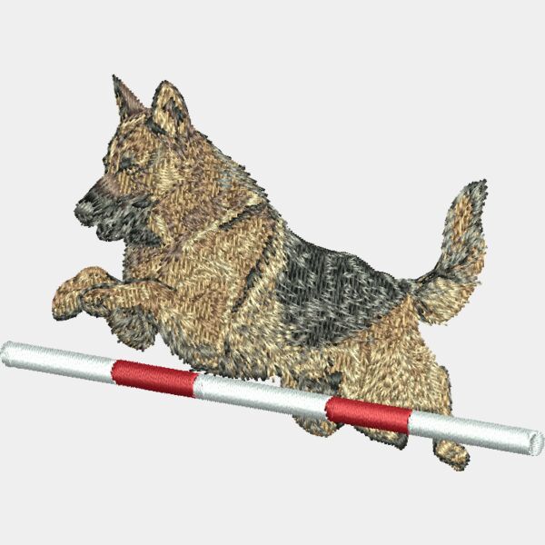 Alsation Agility Thumbnail