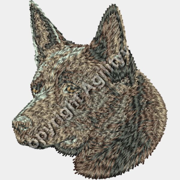 chocolate brown Kelpie Thumbnail