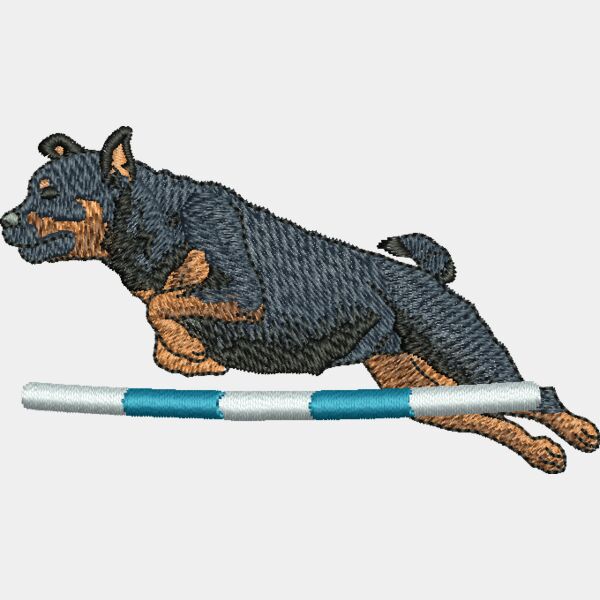 Rottie agility Thumbnail