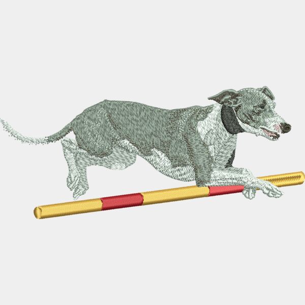 Italian greyhound agility Large Thumbnail