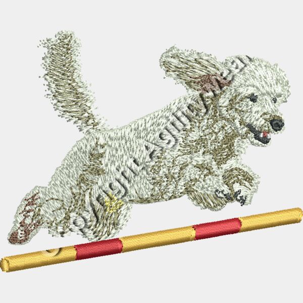 Poodle Jumping Thumbnail