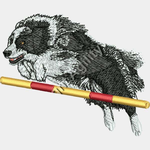 Border Collie Jumping small Thumbnail