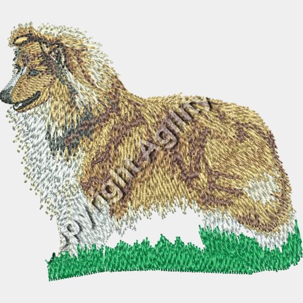 sablesheltieblaze Thumbnail