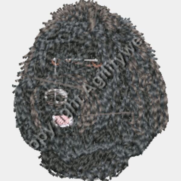 Black Doodle Thumbnail