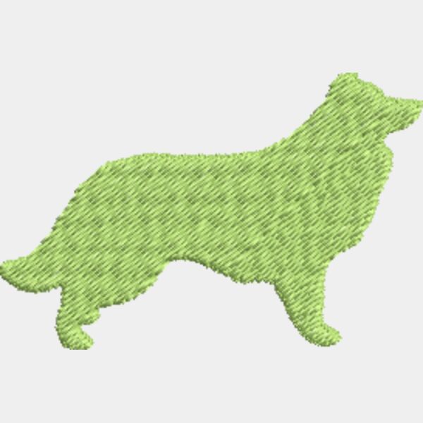 bordercollie Thumbnail