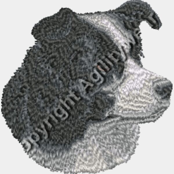 Border Collie 24 Thumbnail