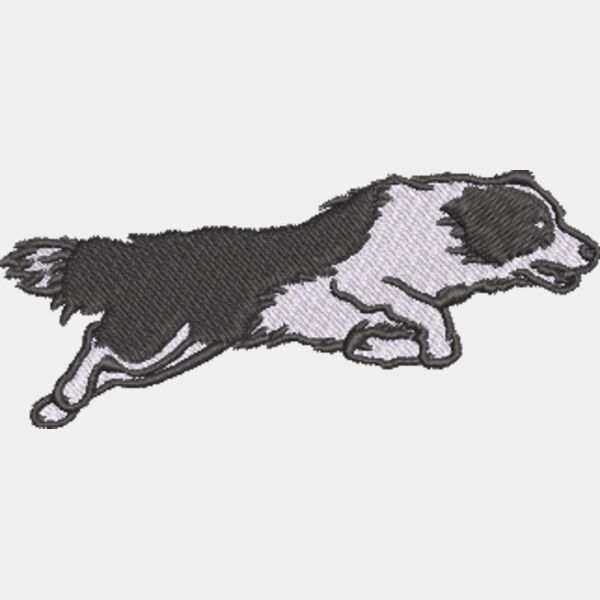 Border Collie Jumping 2 Thumbnail