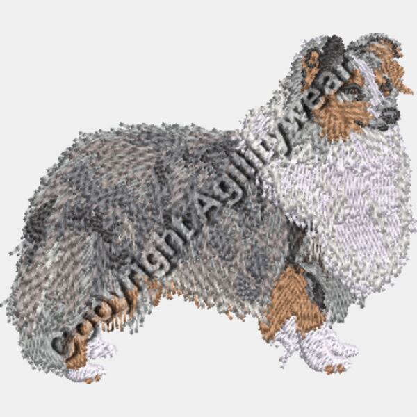 Blue Merle Sheltie Thumbnail